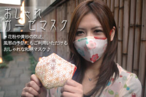My Neighbor Totoro Has Swine Influenza